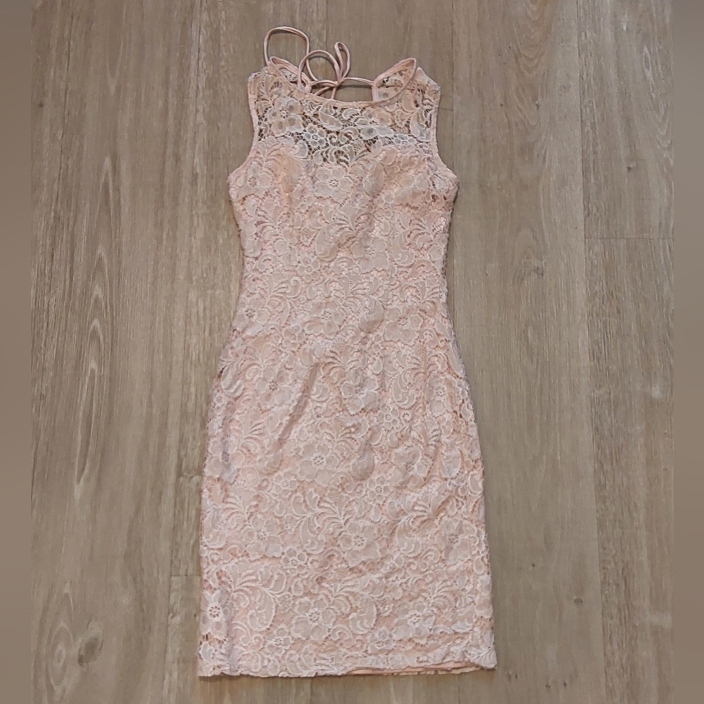 Baby Pink le Chateau Floral Lace Sheath Dress